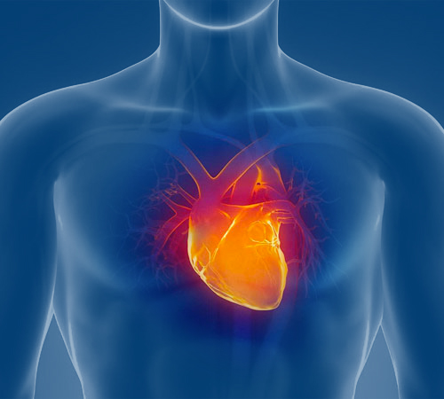 cardiologia